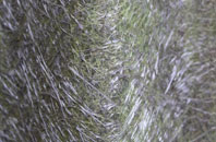 Holme fibreglass roof work